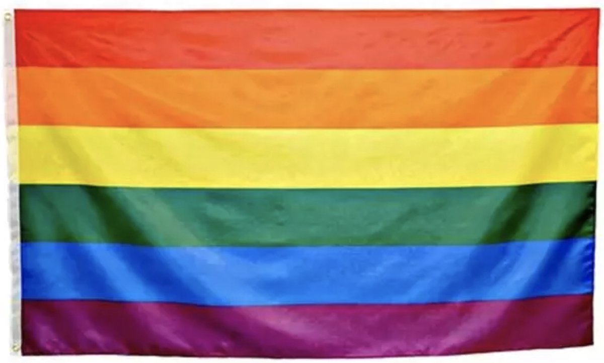 LGBT regenboog pride vlag - LGBTQIA+ - LGBTQ flag – Regenboog vlag – Rainbow flag – Gay Pride – Queer – Trans – Decoratie - Community – vlaggen - spandoek