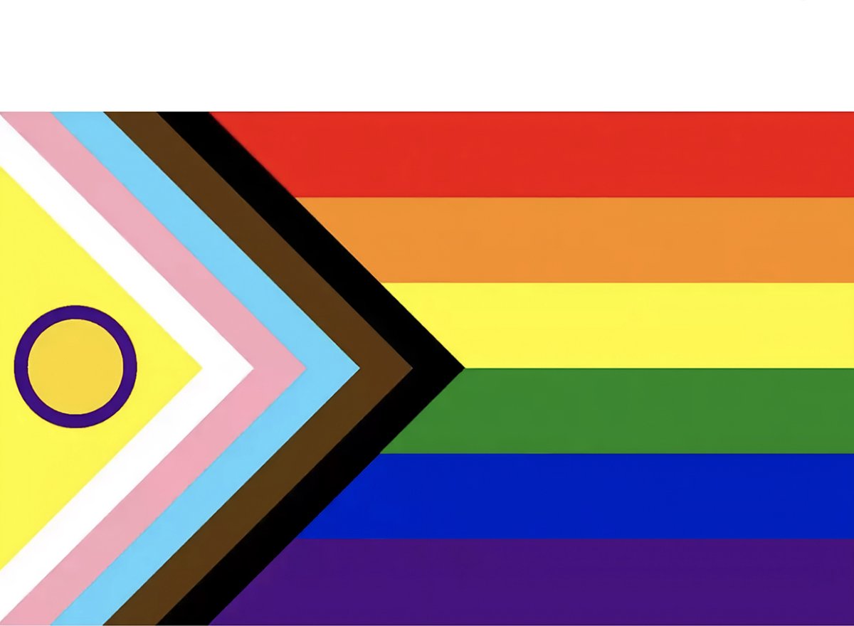 LGBTQIA+ vlag - Progress flag – 90x150cm - Regenboog vlag – Rainbow flag – Gay Pride – Queer – Trans – Decoratie - Community – vlaggen - spandoek