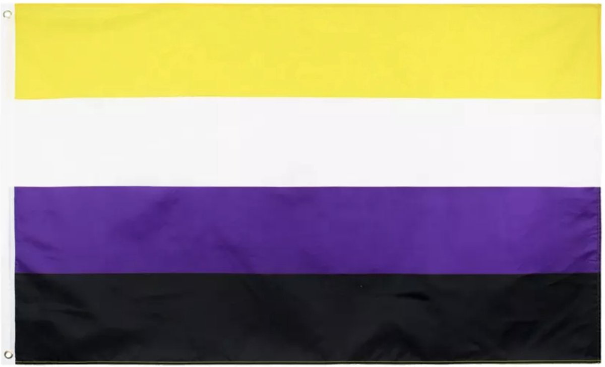 Non-binair vlag - LGBTQIA+ - LGBTQ flag – Regenboog vlag – Rainbow flag – Gay Pride – Queer – Trans – Decoratie - Community – vlaggen - spandoek