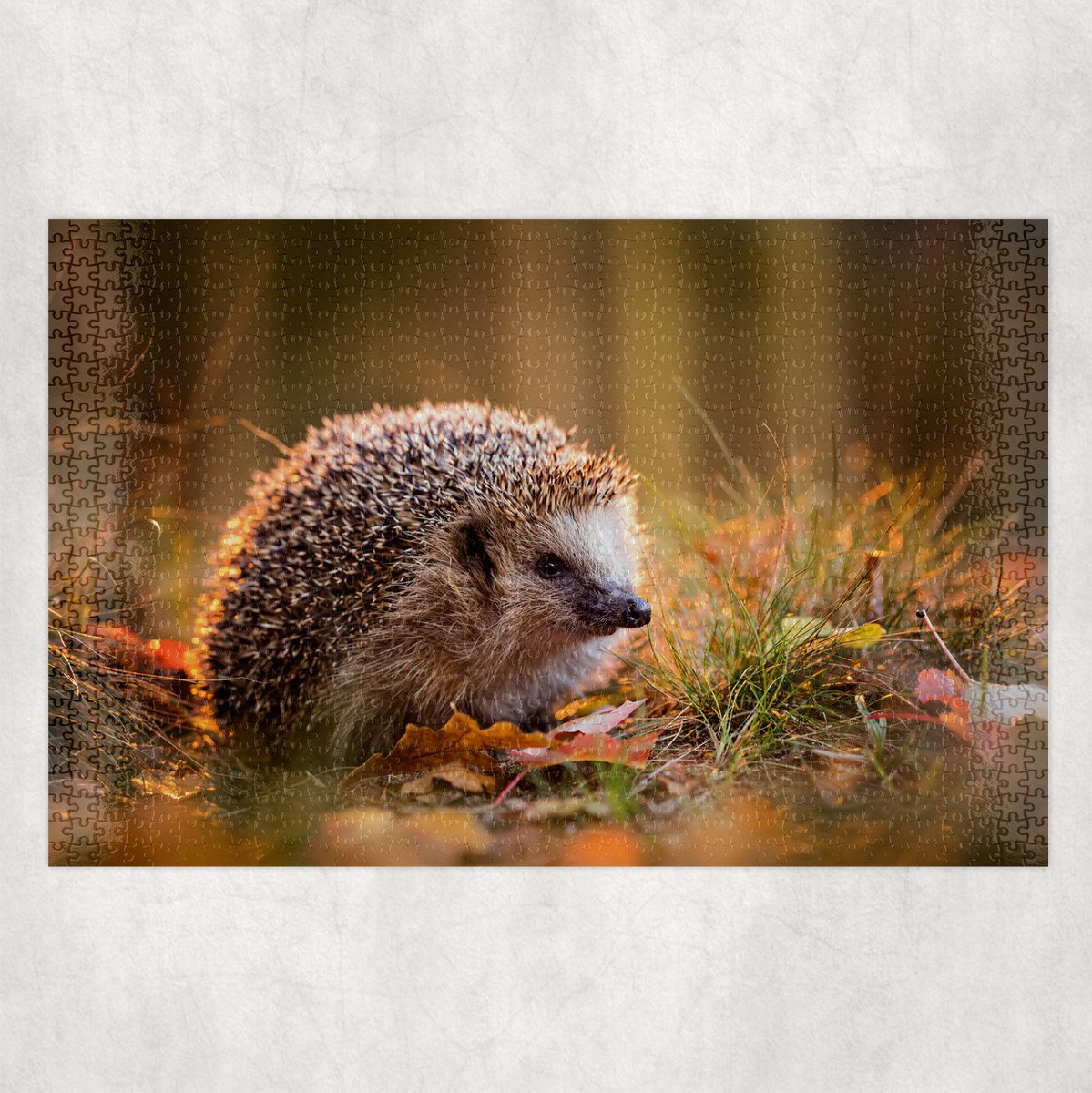 Puzzel - Egel Herfst - 1000 stukjes