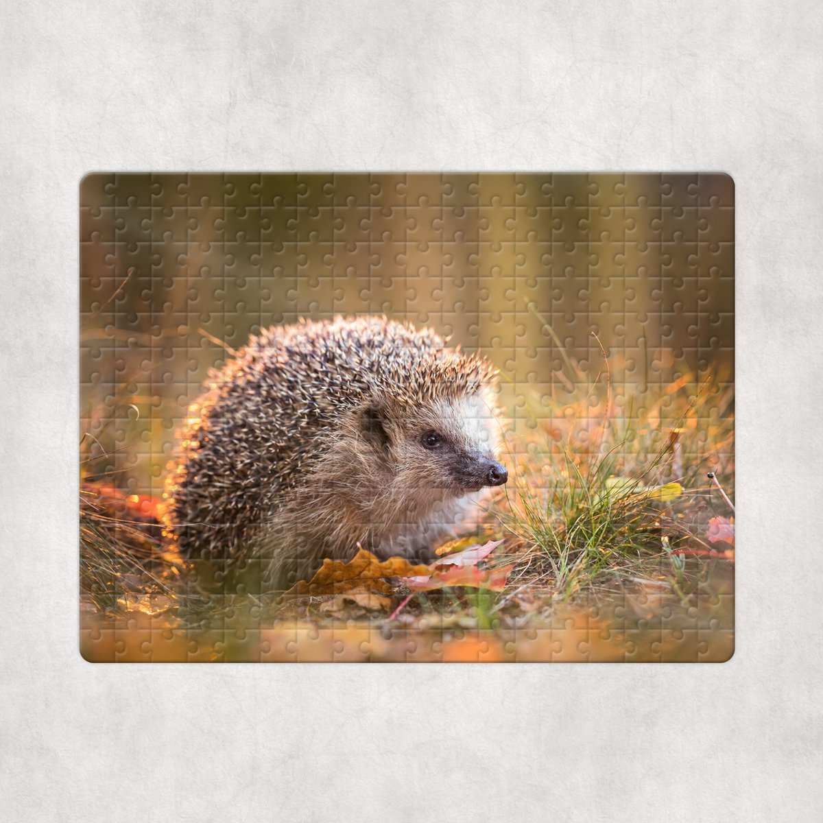 Puzzel - Egel Herfst - 252 stukjes