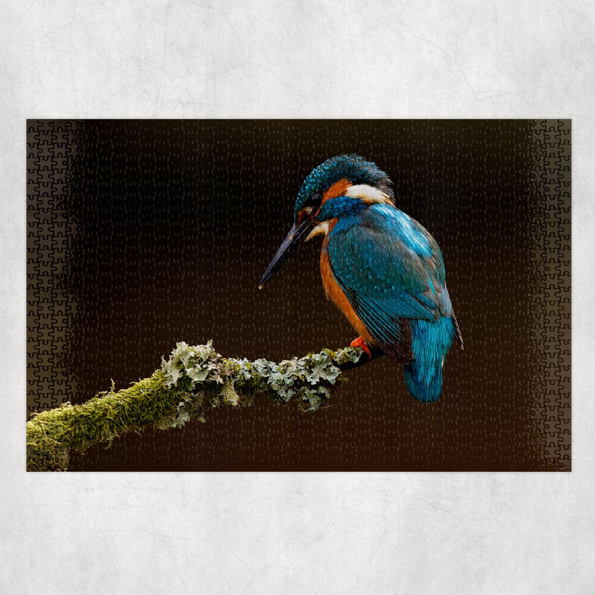 Puzzel - IJsvogel - 1500 stukjes