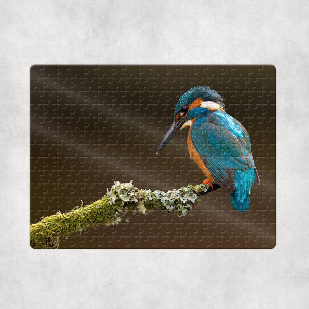 Puzzel - IJsvogel - 252 stukjes