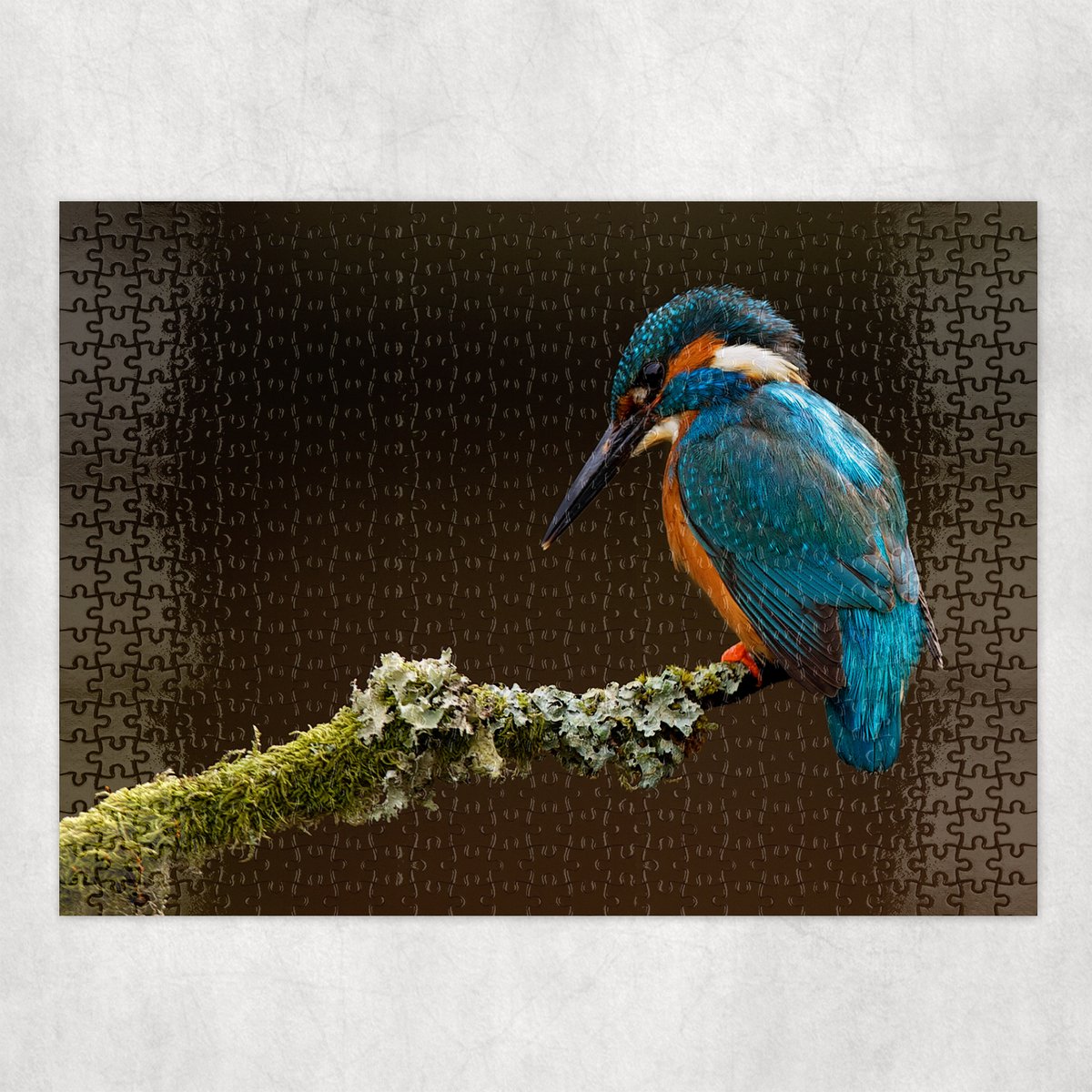 Puzzel - IJsvogel - 500 stukjes