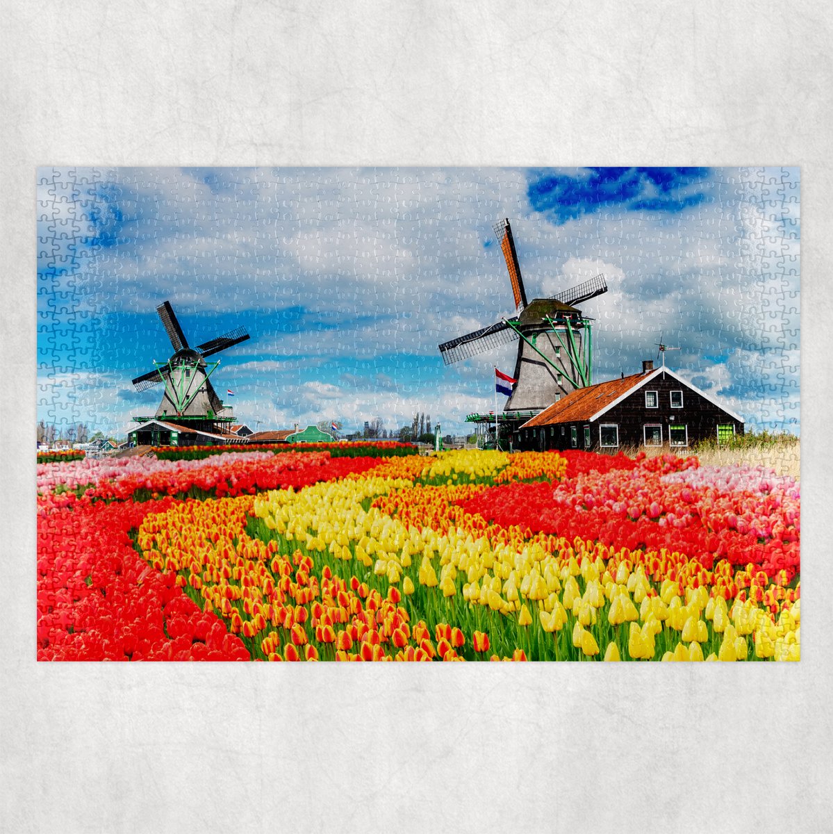 Puzzel - Molens met Tulpen - 1000 stukjes