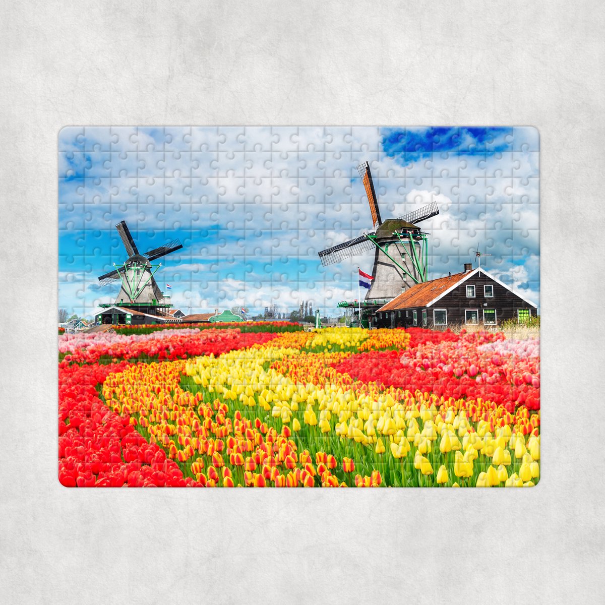 Puzzel - Molens met Tulpen - 252 stukjes