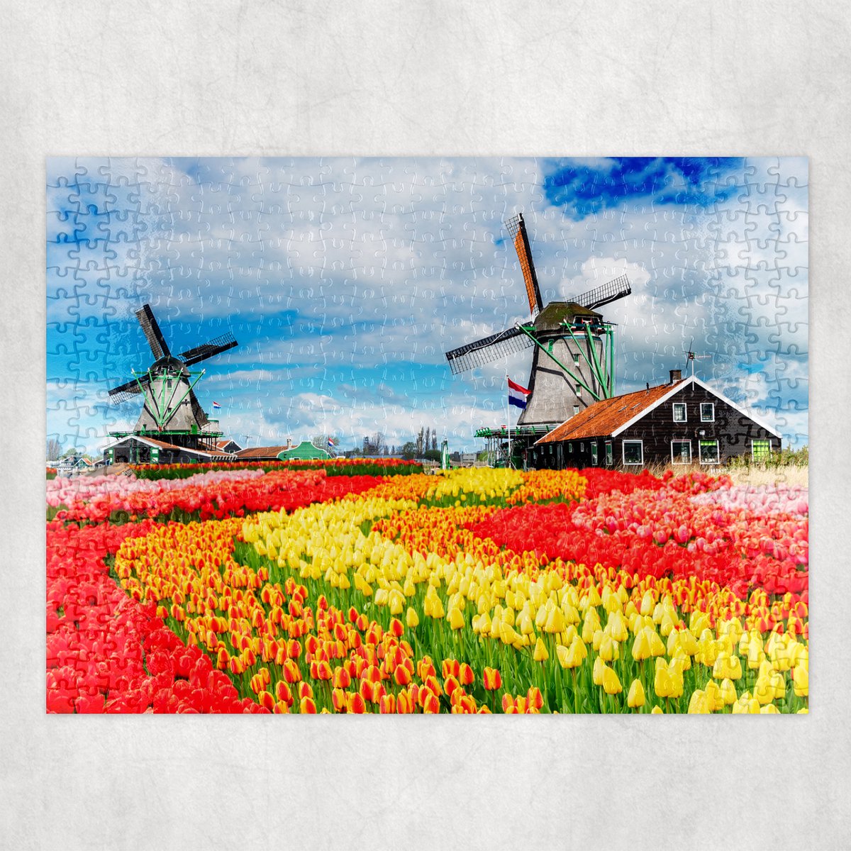 Puzzel - Molens met Tulpen - 500 stukjes