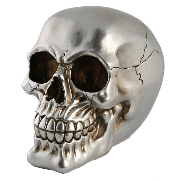 Out of the Blue Spaarpot van doodshoofd/Skull - polyresin - 15 cm - Zilver Dark - Volwassenen - Spaarpotten