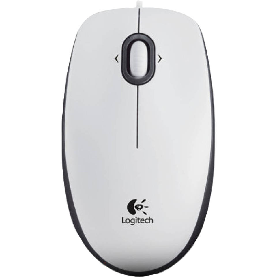 B100 Optical USB Mouse for Business