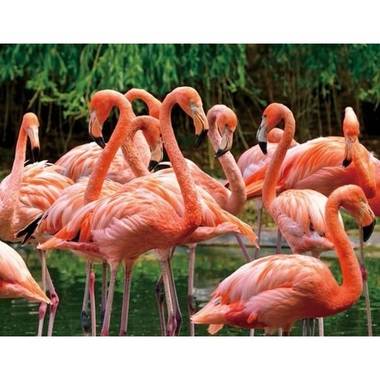 Dieren magneet 3d flamingo