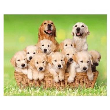 Dieren magneet 3d golden retrievers