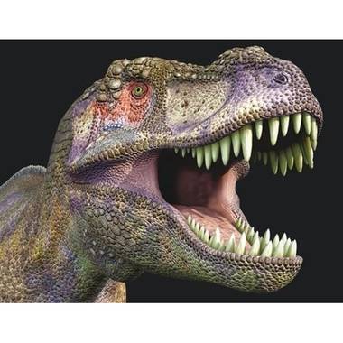 Dieren magneet 3d t-rex