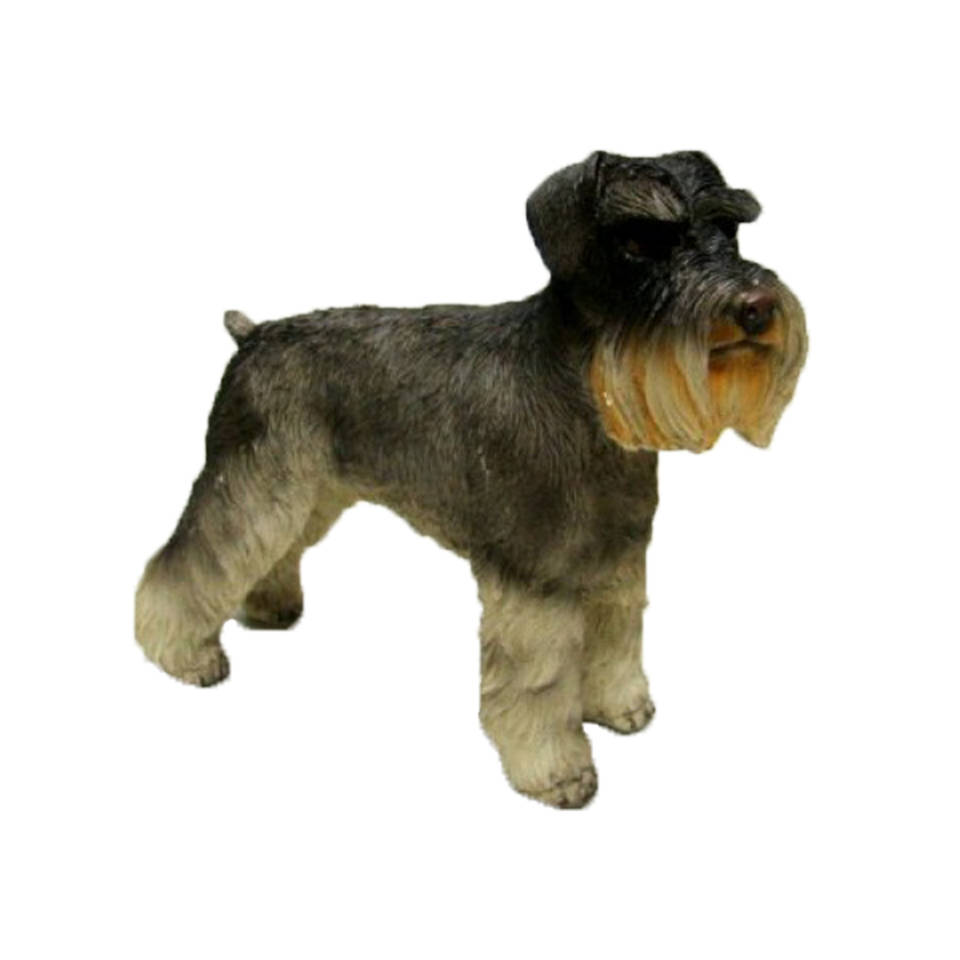 Dierenbeelden Schnauzer hond - Decoratie beeldje 15 cm