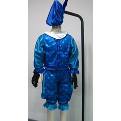 Kleding Piet blauw (maat 116-128)