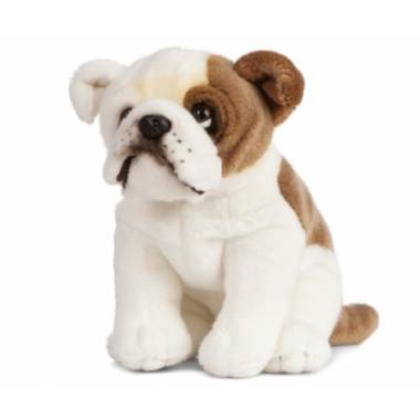 Knuffel engelse bulldog, living nature