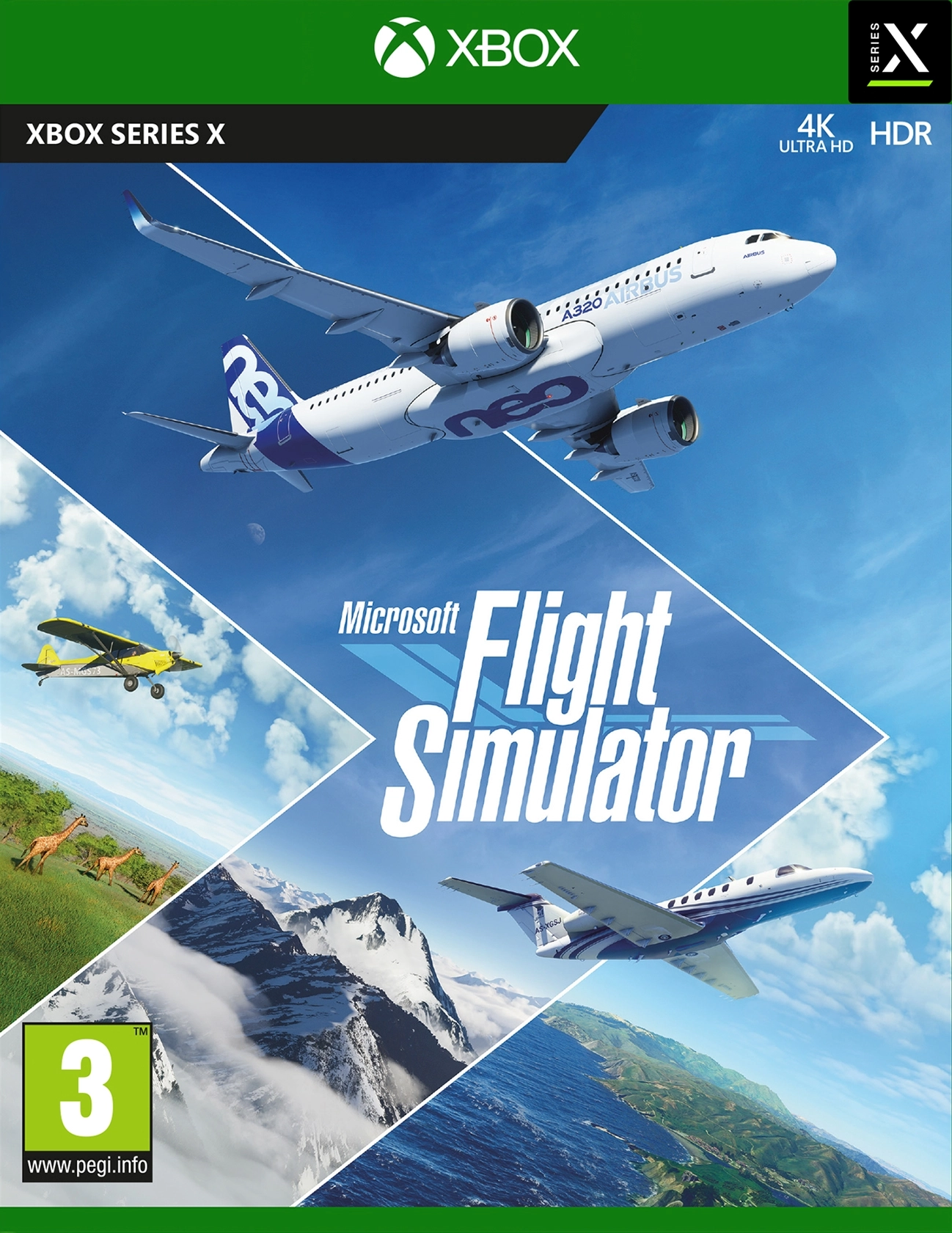 Microsoft Flight Simulator