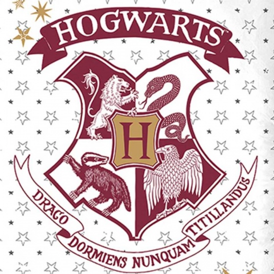 Wizarding World dekbedovertrek Harry Potter katoen rood 140 x 200 cm