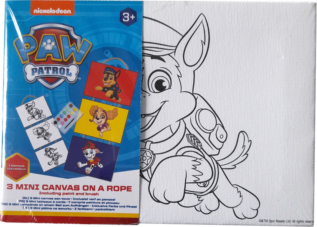 PAW Patrol 3 Mini Canvas op een Touwtje