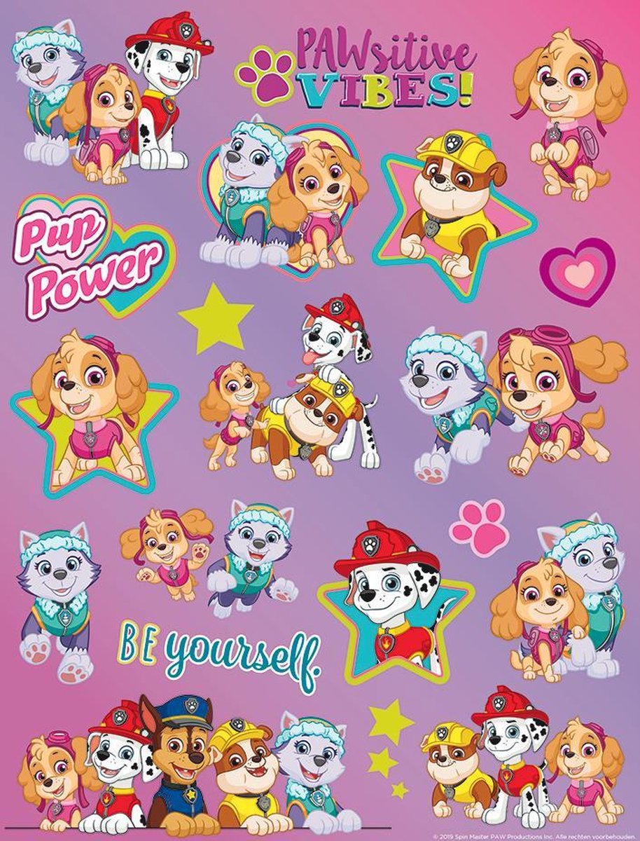 PAW Patrol II - A4 Stickervel - Hologram stickers - Grote Stickers