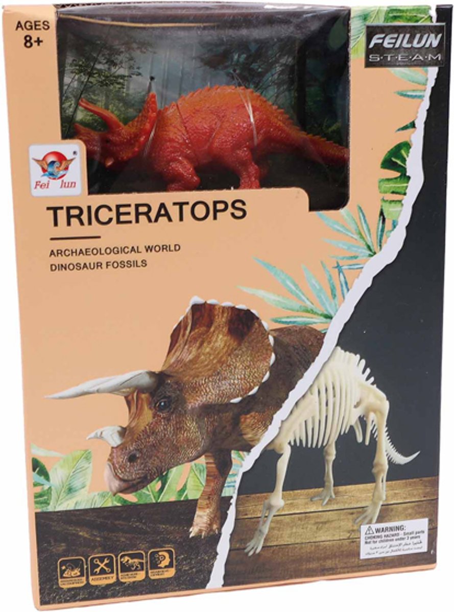 Archeologisch opgraving Triceratops 13 x 13 x 5 cm + 14 cm