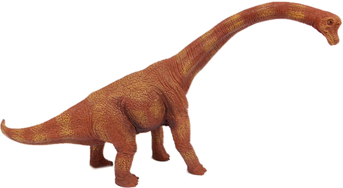 Brachiosaurus 34 cm