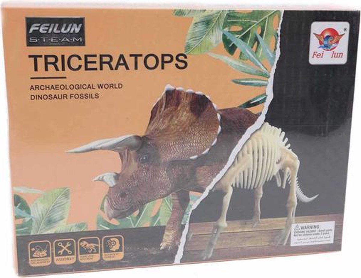 Dinosaurus fossiel - archeologisch opgraving Triceratops (grote doos) 19 x 26 x 5,5 cm