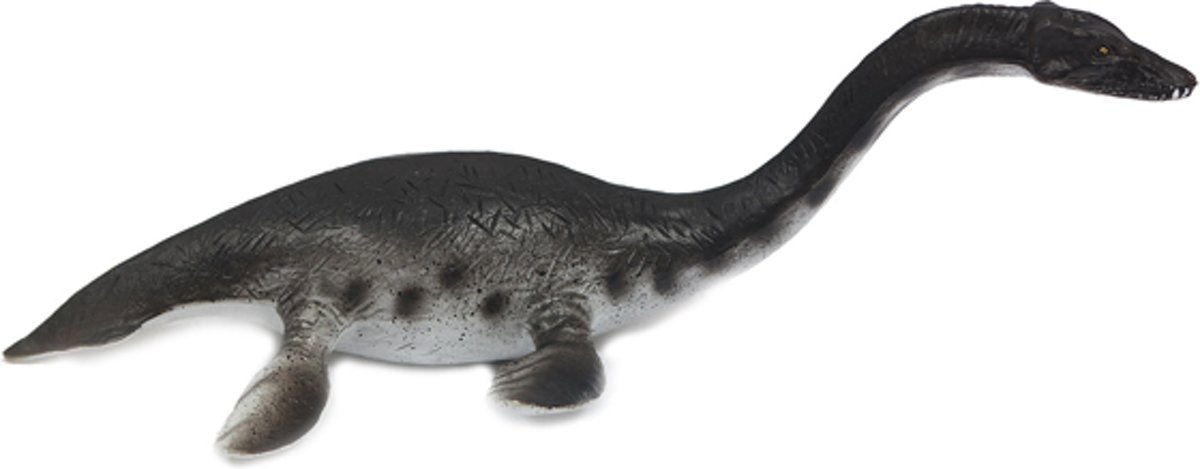 Plesiosaurus zwart 23.5 x 13 x 7 cm