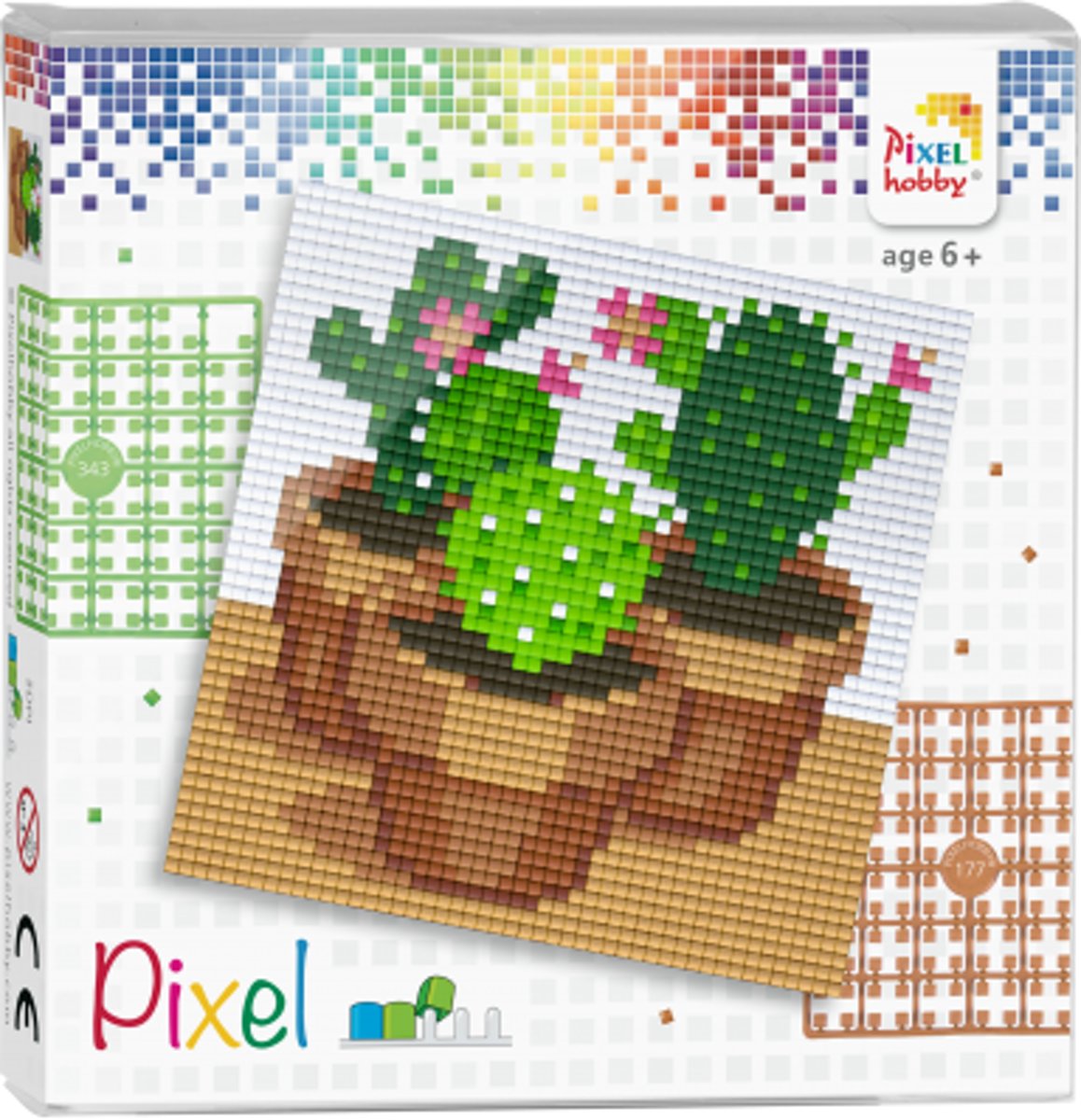 Complete Pixel Set Cactussen