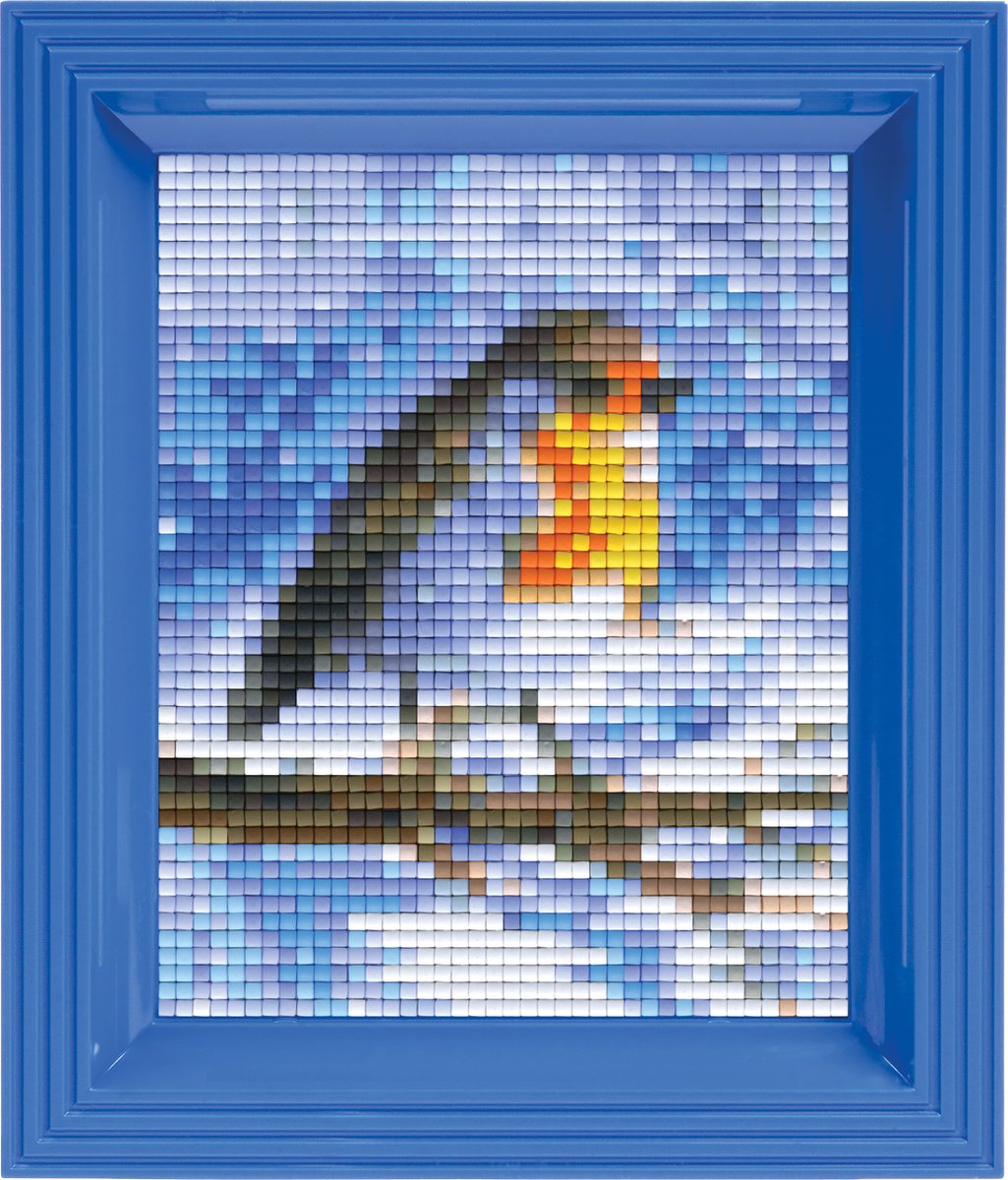 Pixel hobby geschenkverpakking - Roodborstje