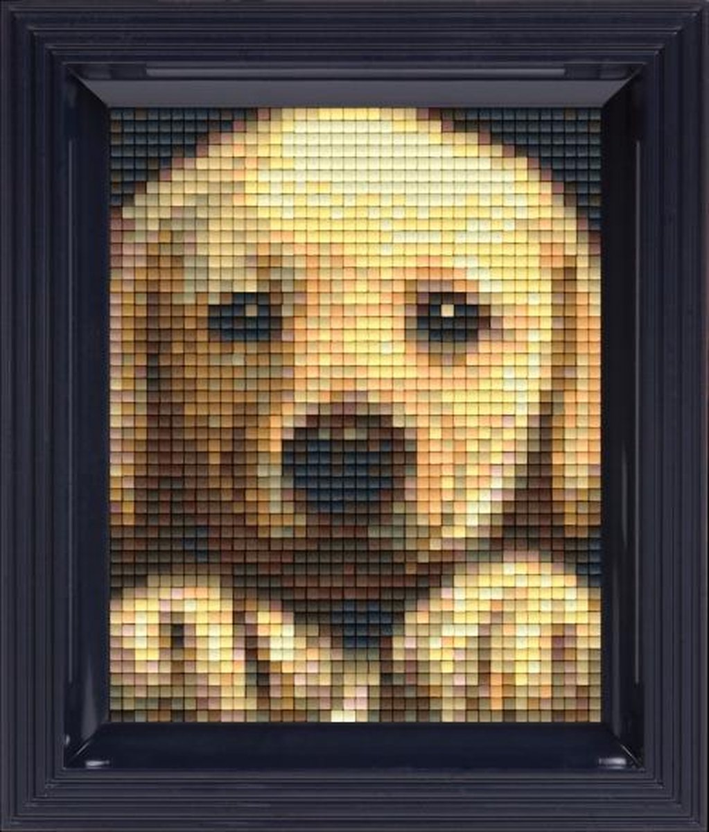 Pixelhobby Classic Goldenretriever Puppy 10x12 cm