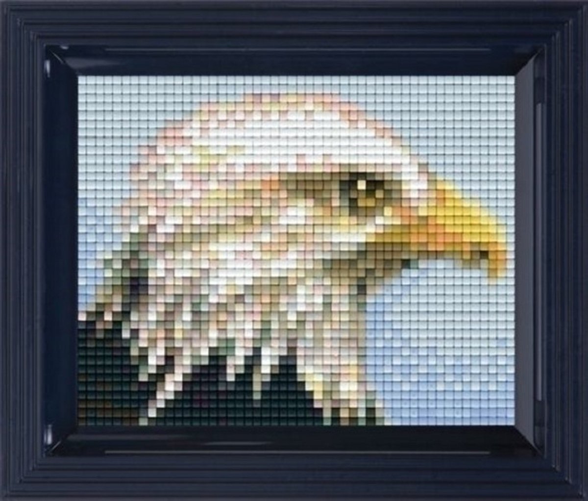 Pixelhobby Geschenkverpakking - Eagle