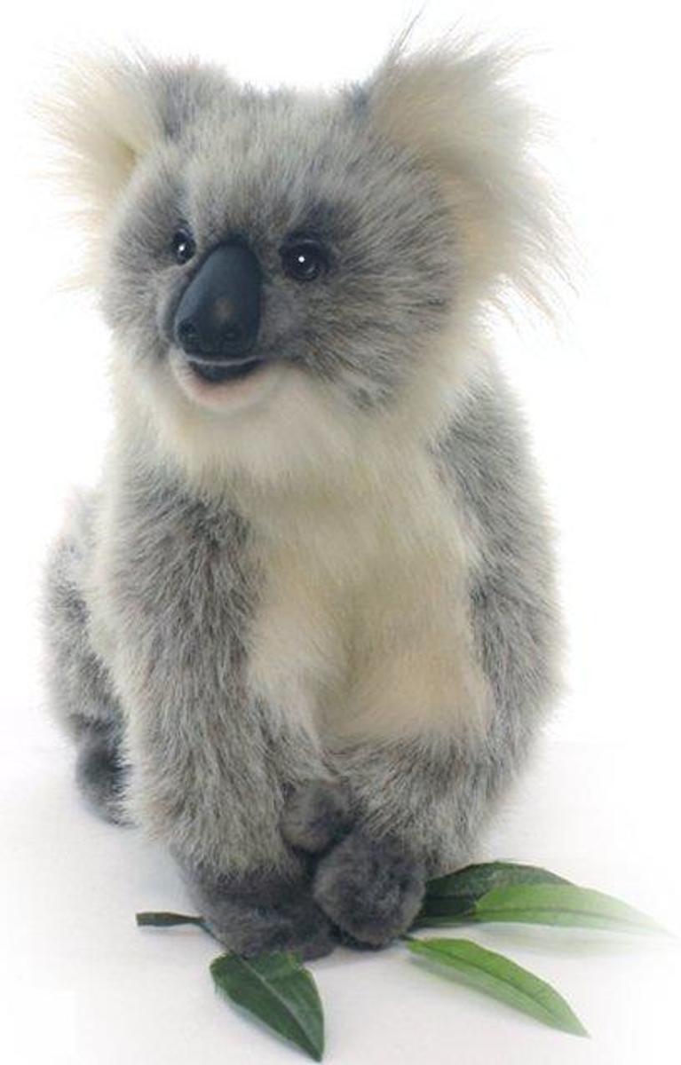 Koala knuffel 23cm