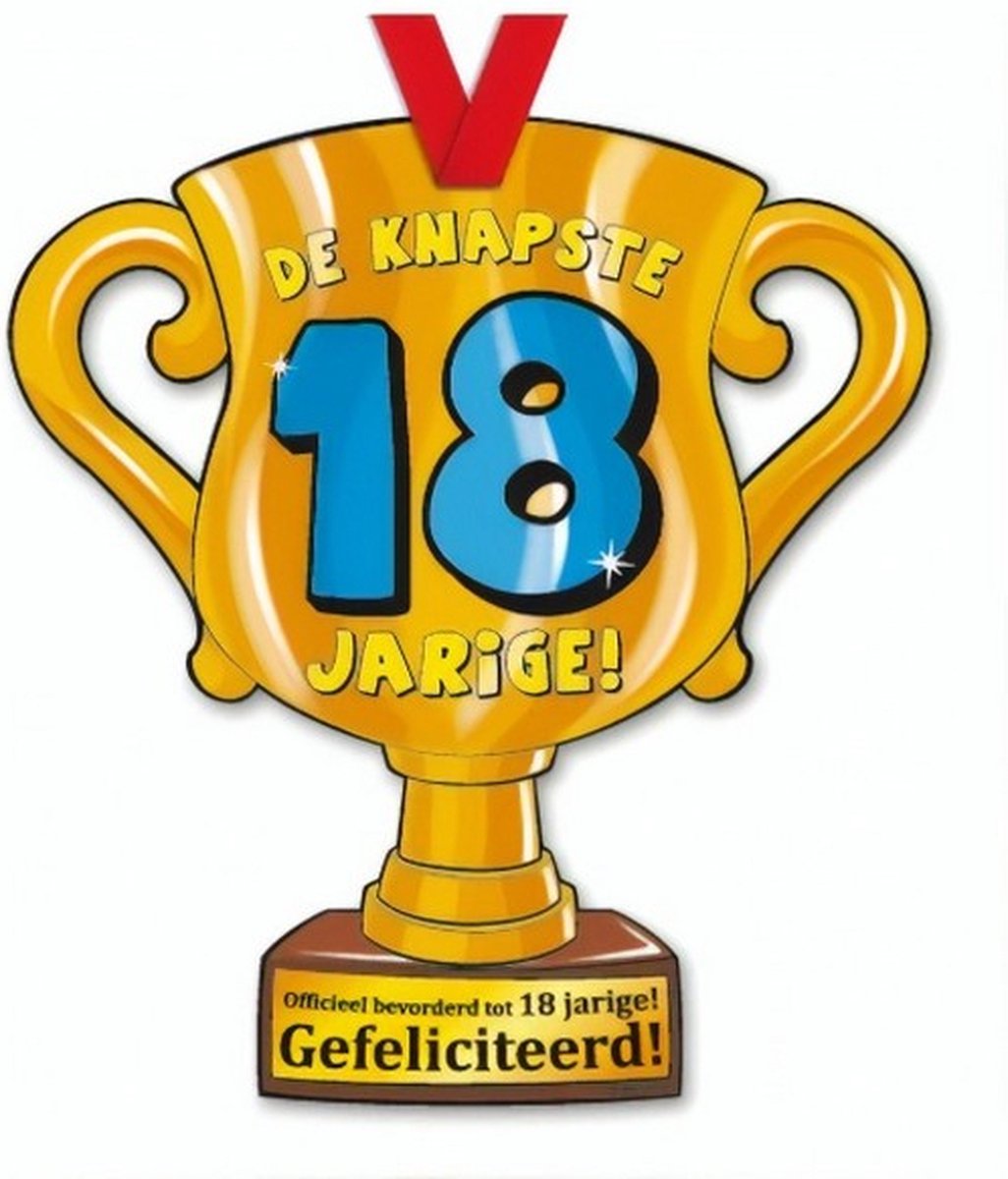 trofee de knapste 18 jarige! 33 cm karton goud