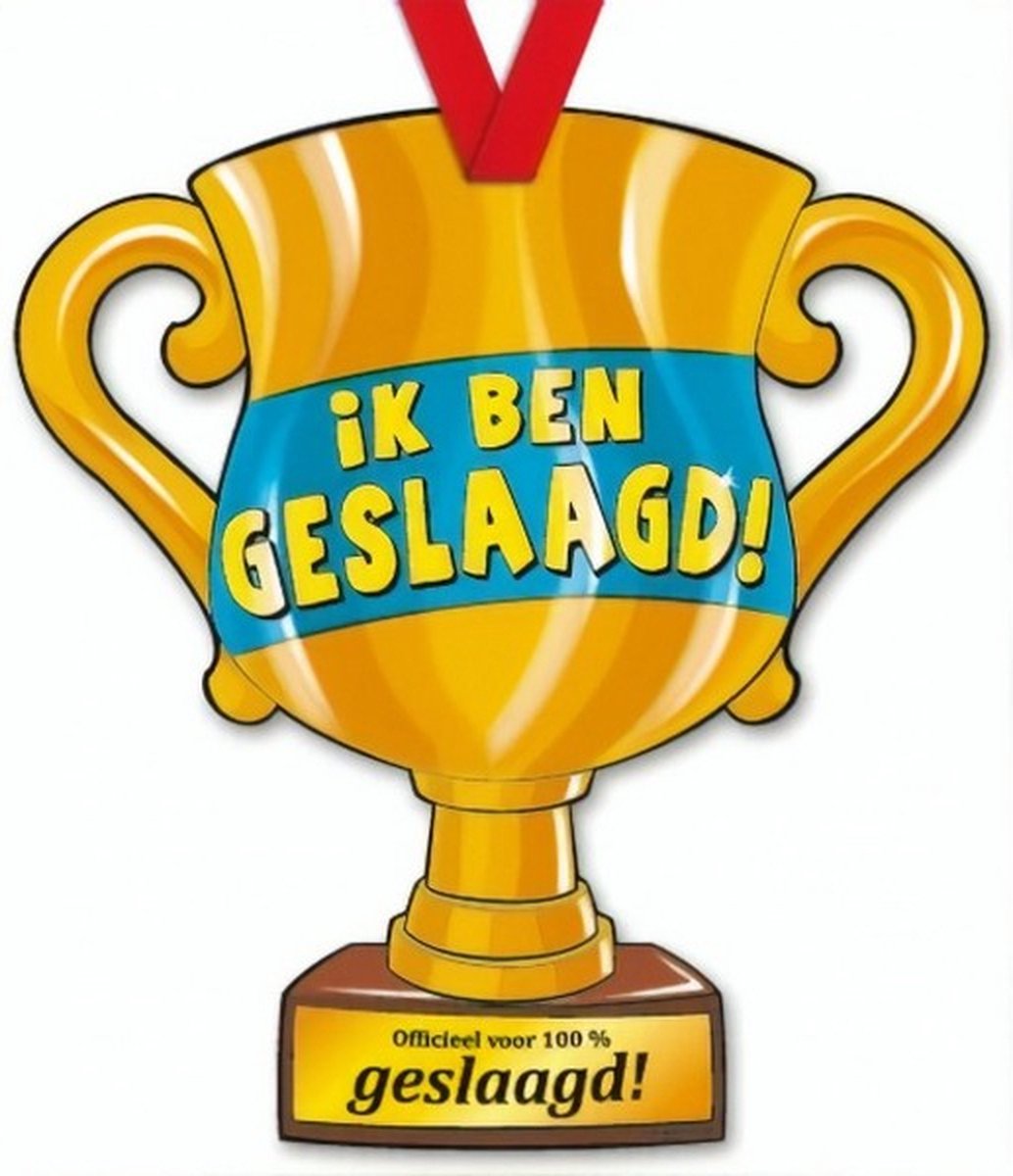 trofee ik ben geslaagd! 33 cm karton goud