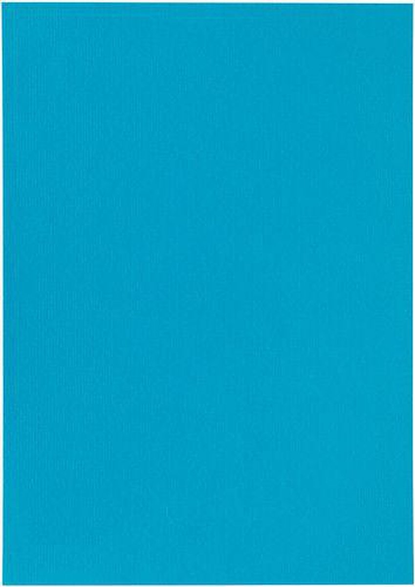 Papicolor Papier A4 korenblauw 105gr-CV 12 vel 300965 - 210x297mm