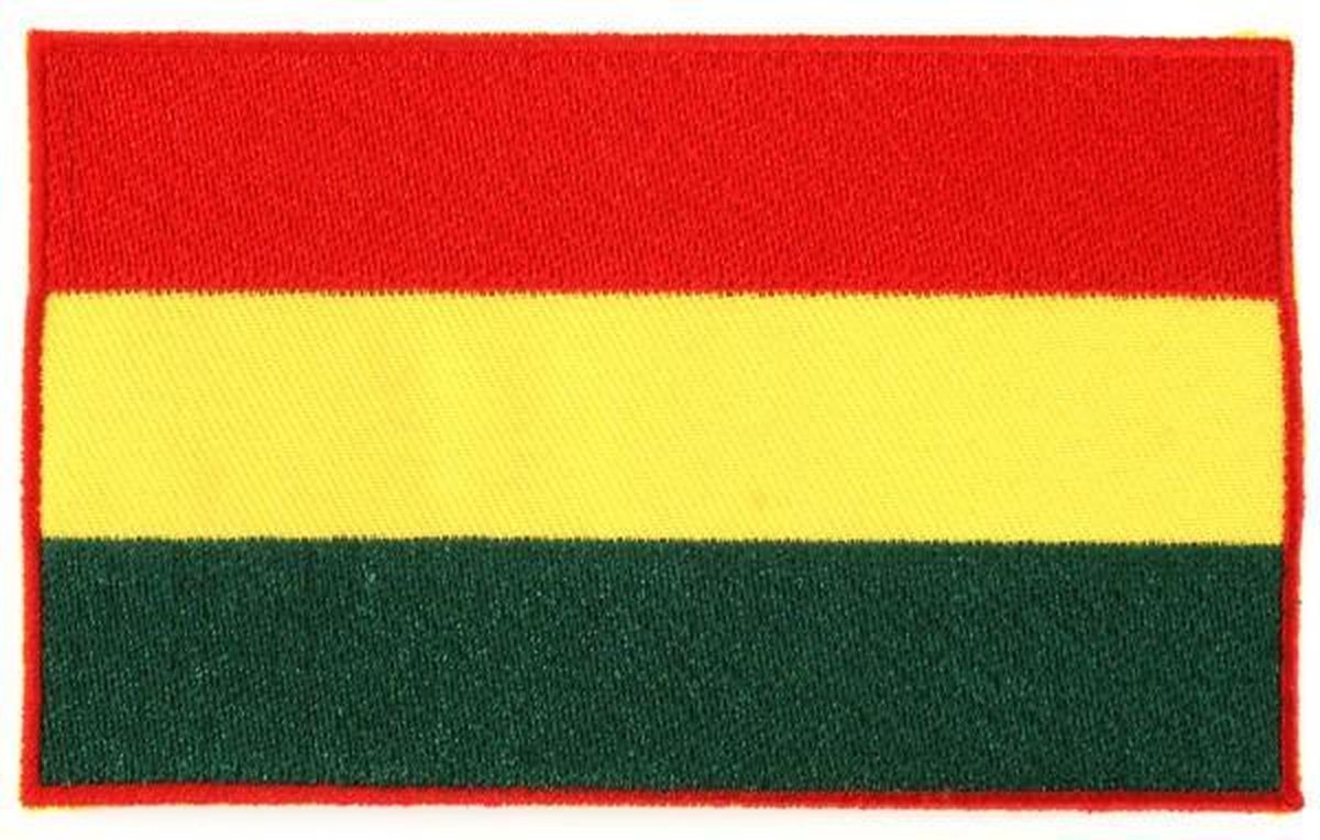 Applicatie Vlag limburg rood/geel/groen 12x7 cm