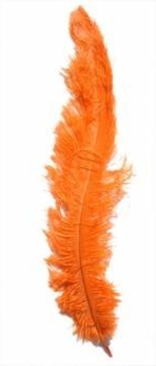 PartyXplosion - Veer - Zwarte piet - Spadonis - Oranje - 50cm