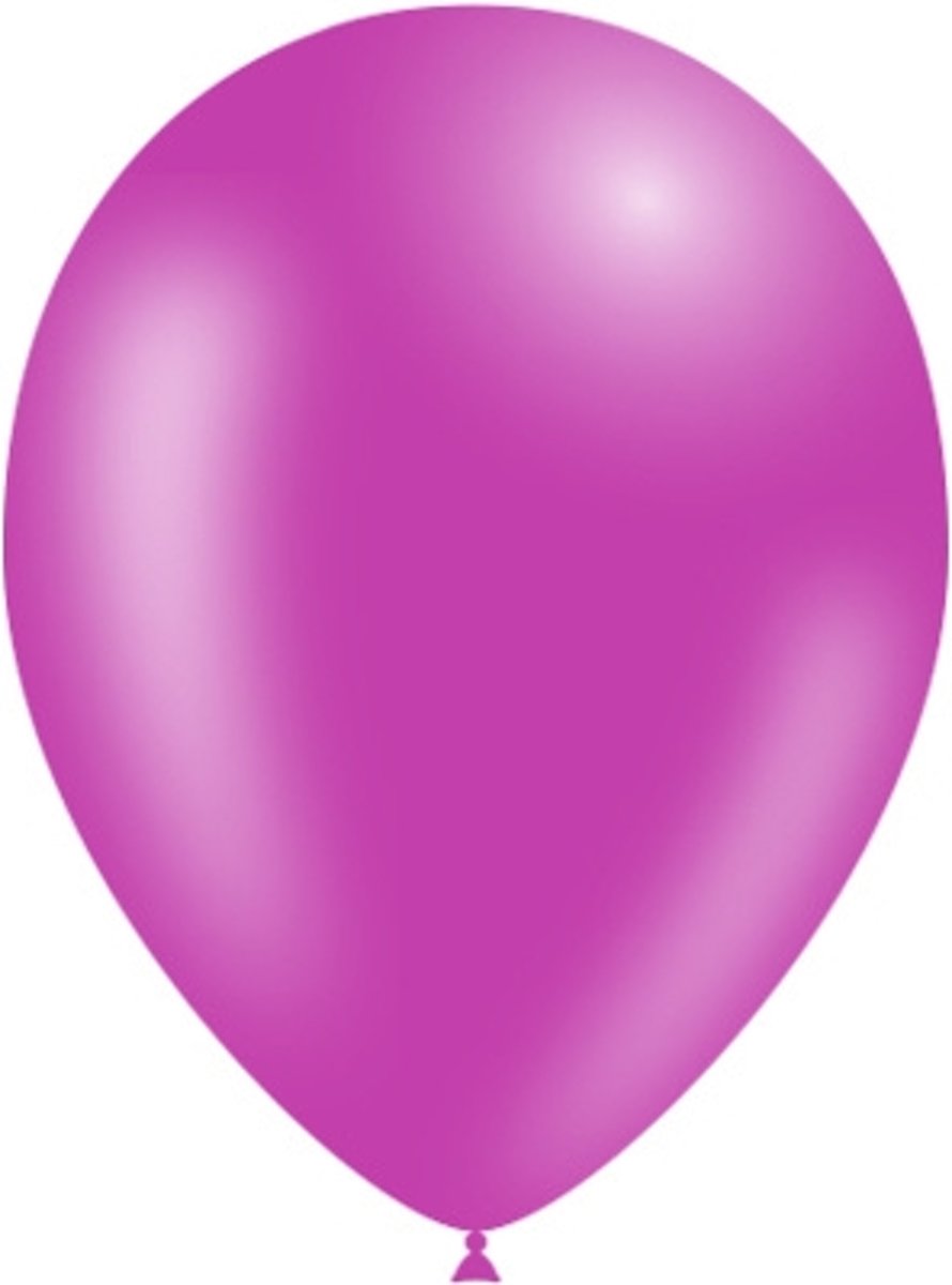 Fuchsia Ballonnen 25cm 10 stuks