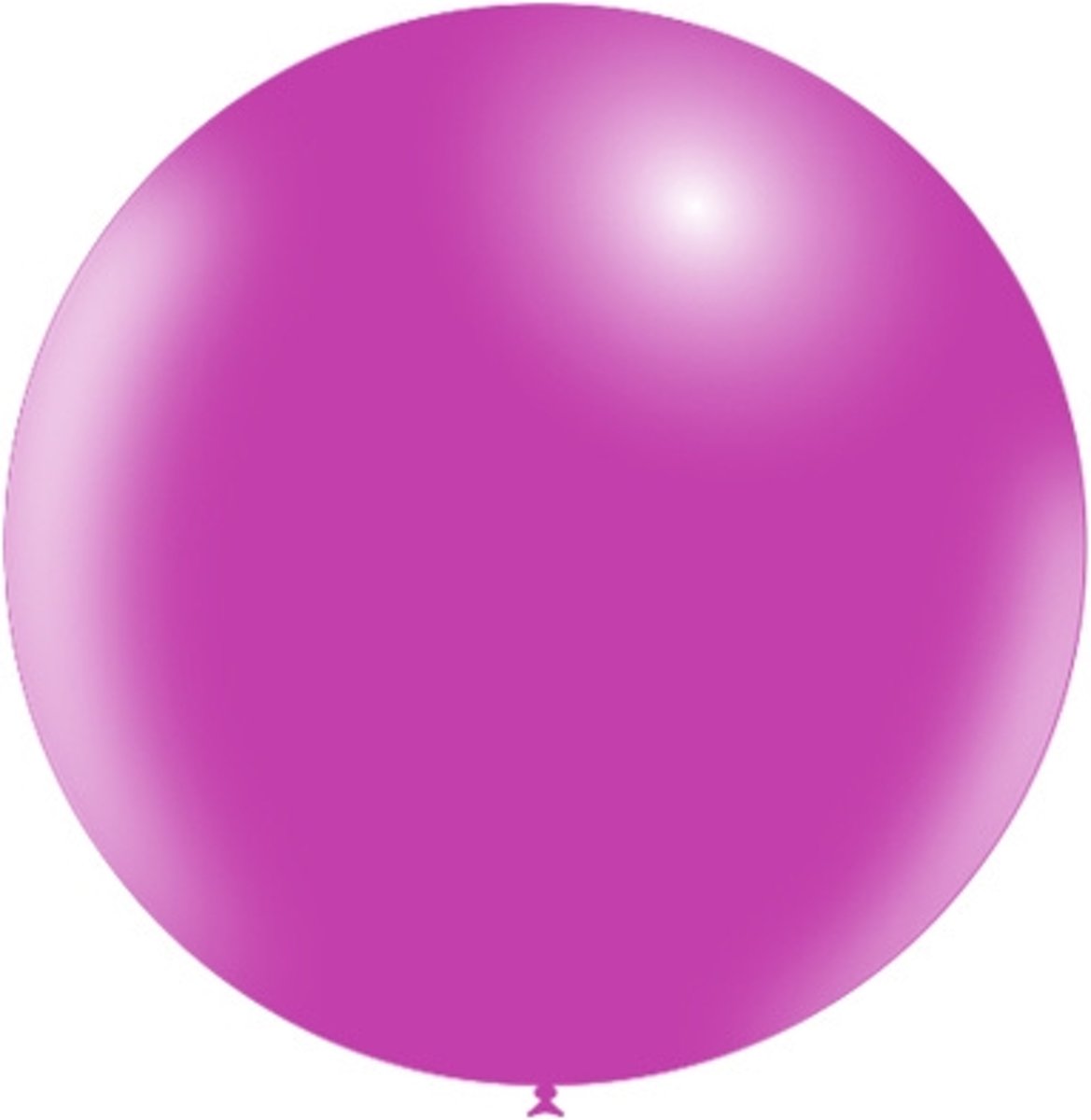 Fuchsia Reuze Ballon 60cm