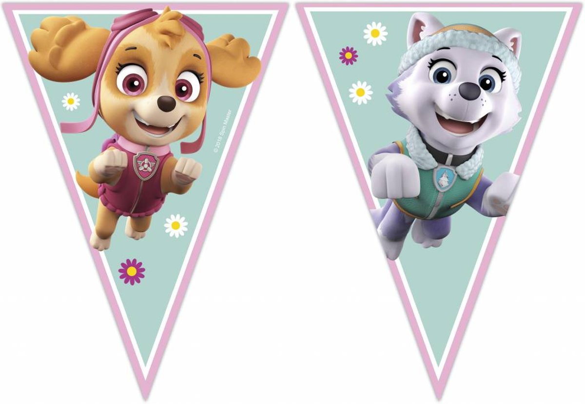 Paw Patrol Skye en Everest vlaggenlijn 2,3 mtr.