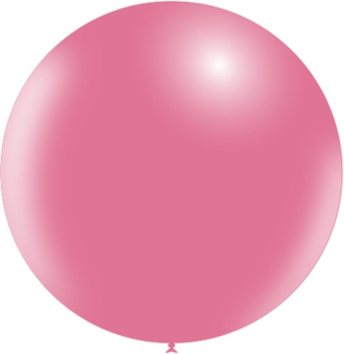 Roze Reuze Ballon 60cm