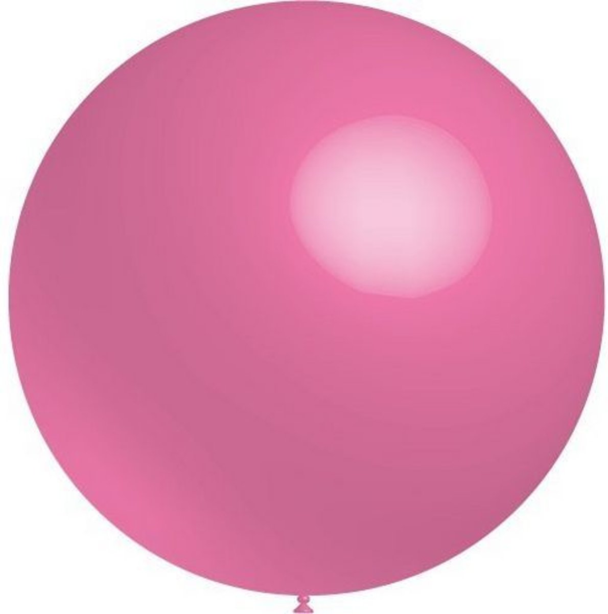 Roze Reuze Ballon 60cm