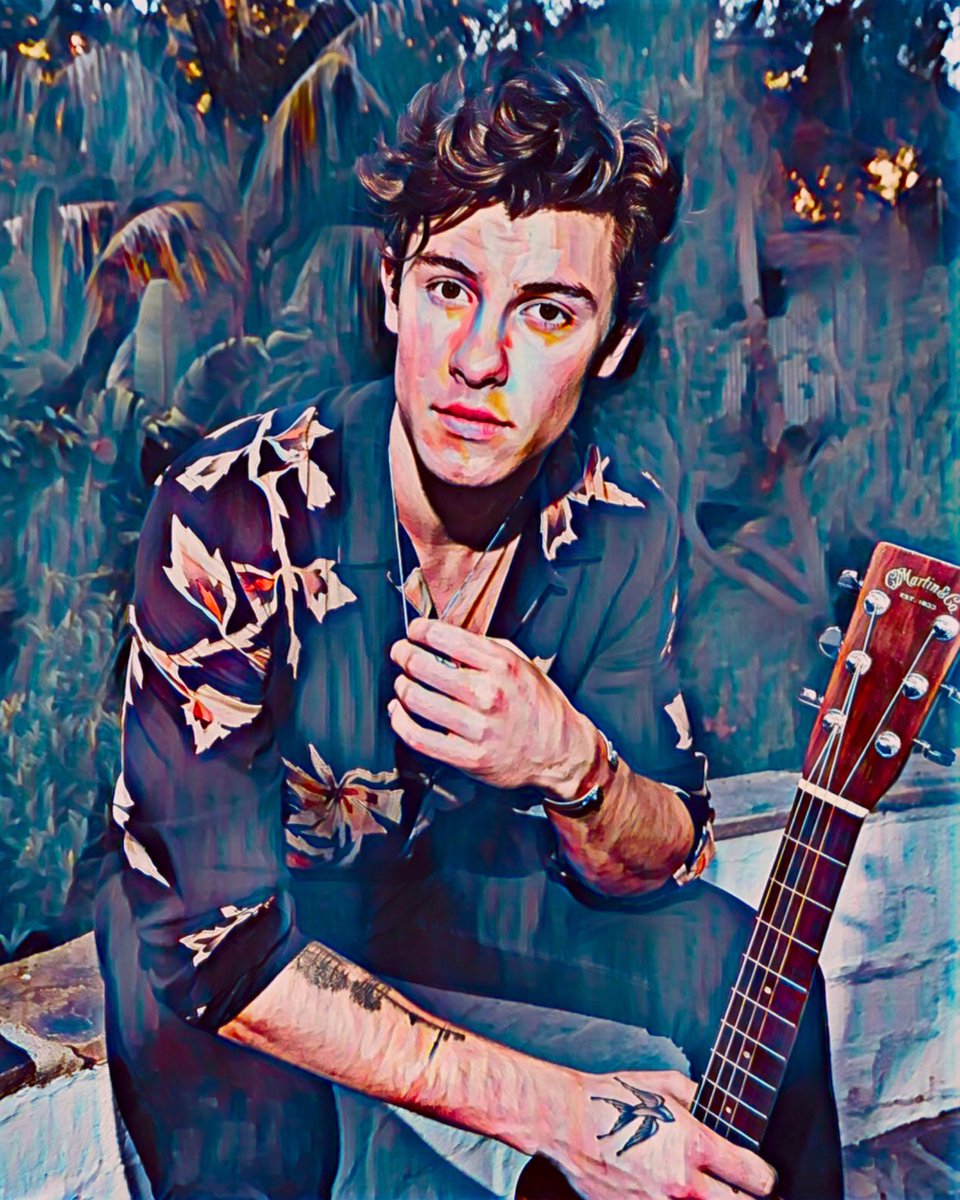 Shawn Mendes 3 - Canvas - 50 x 70 cm