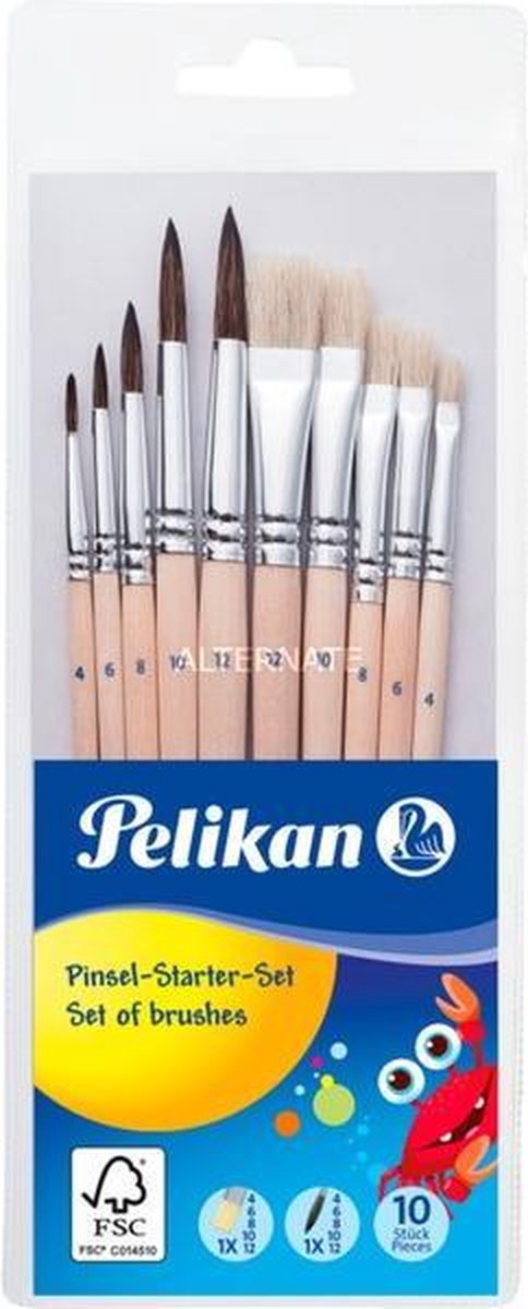 Pelikan Pinsel PL10/SB Starter Set 10er