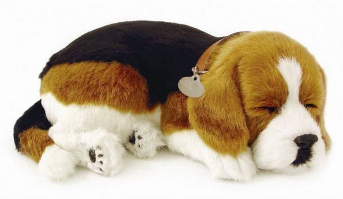 Perfect Petzzz soft Beagle