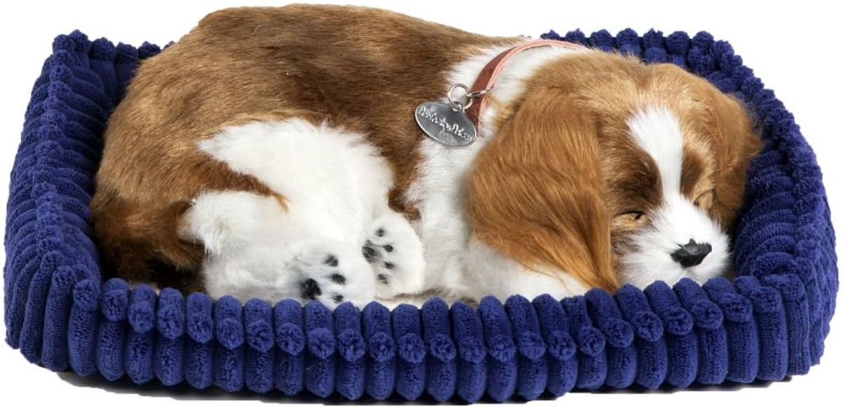 Perfect petzzz Soft cavalier king charles