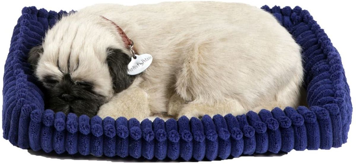 Perfect petzzz Soft pug