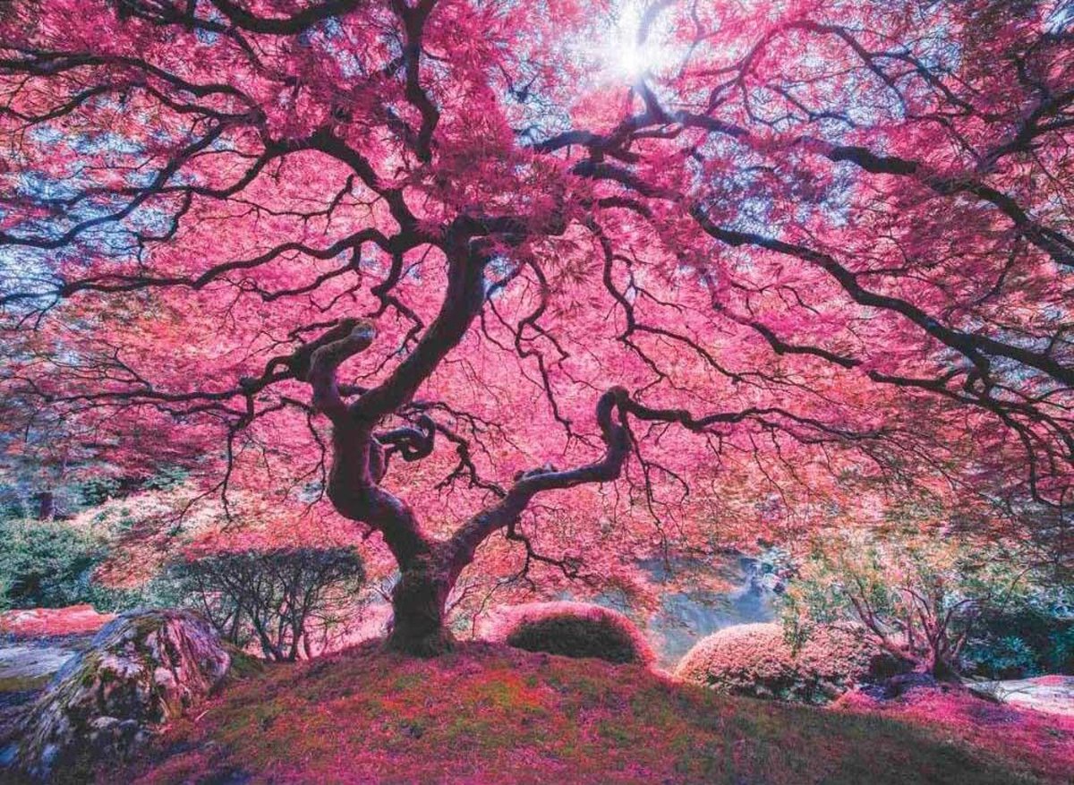 Perre / Anatolian Pink Tree -  Puzzel 1000 Stukjes