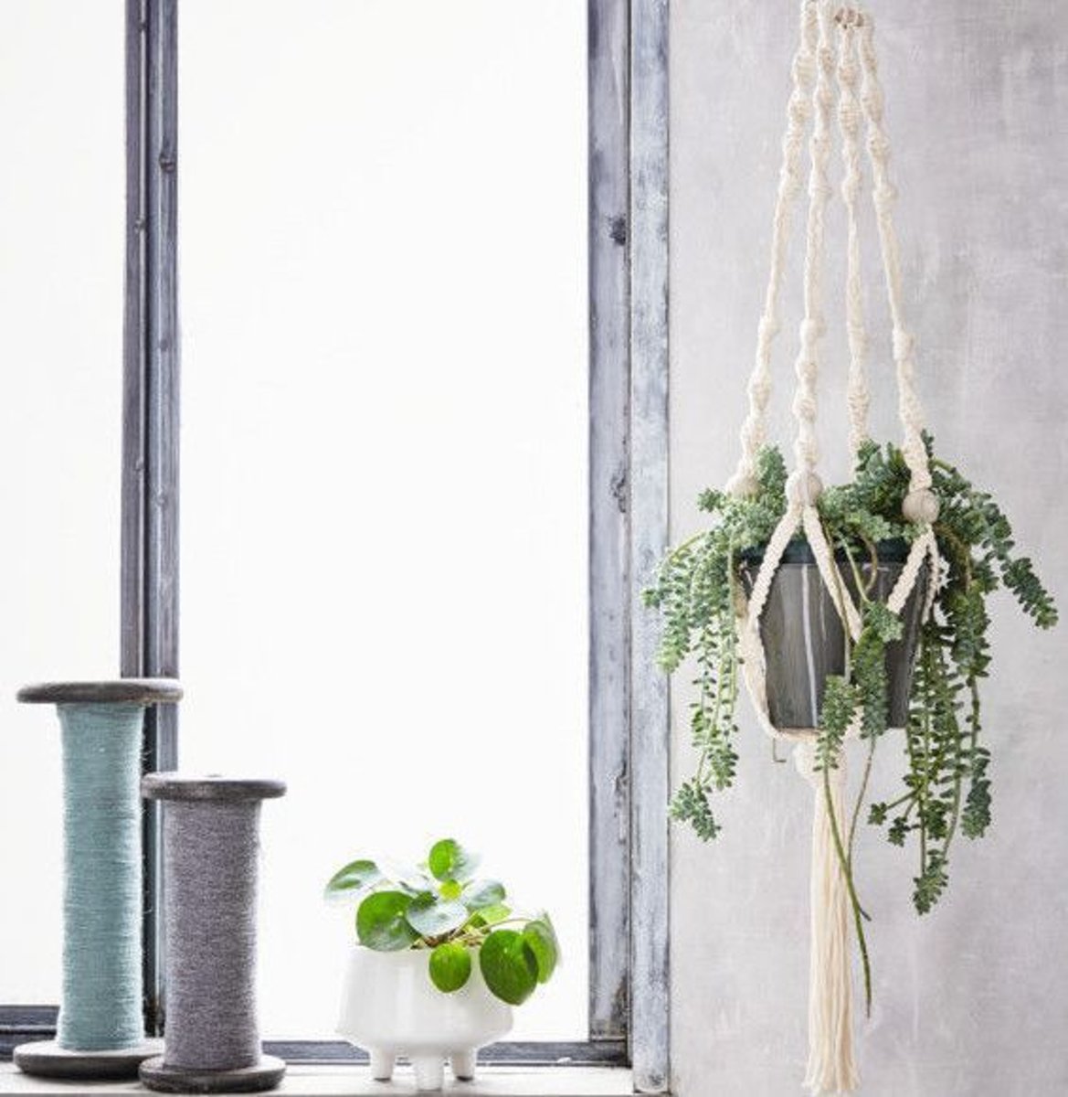 Macramé plantenhanger