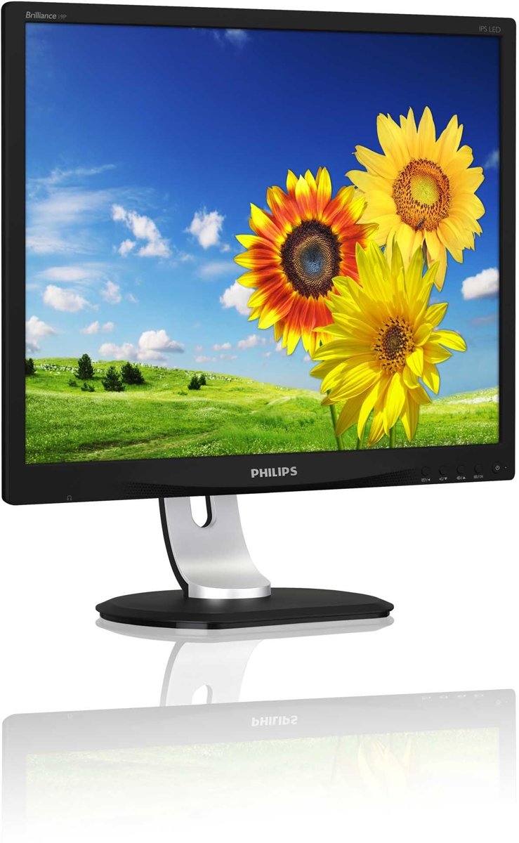 Philips 19P4QYEB - IPS Monitor